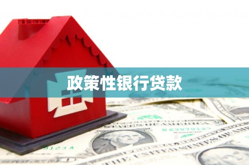 叶县政策性银行贷款
