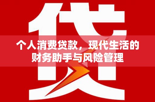 叶县个人消费贷款，现代生活的财务助手与风险管理
