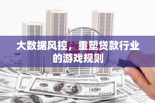 叶县大数据风控，重塑贷款行业的游戏规则