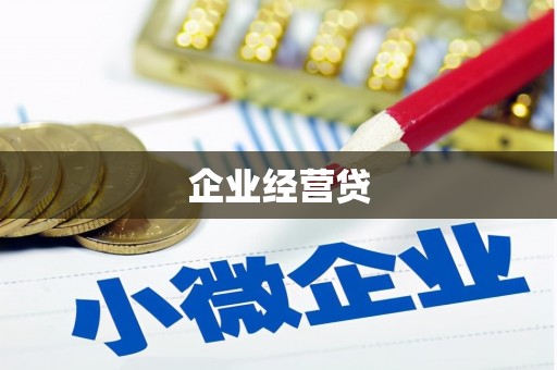 叶县企业经营贷