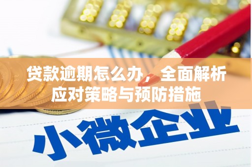 叶县贷款逾期怎么办，全面解析应对策略与预防措施