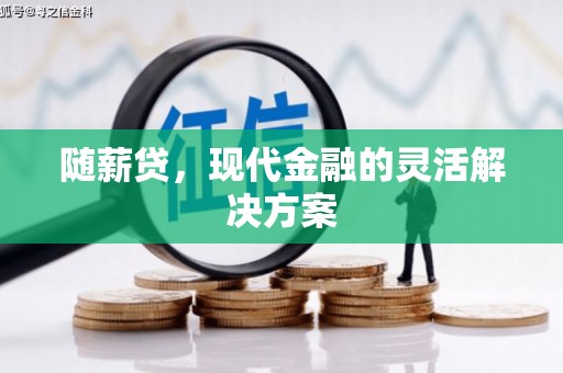 叶县随薪贷，现代金融的灵活解决方案