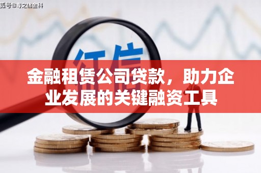 叶县金融租赁公司贷款，助力企业发展的关键融资工具