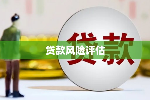 叶县贷款风险评估