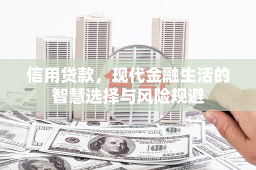 叶县信用贷款，现代金融生活的智慧选择与风险规避
