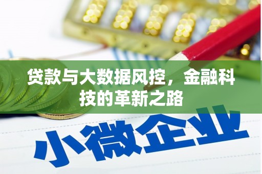 叶县贷款与大数据风控，金融科技的革新之路