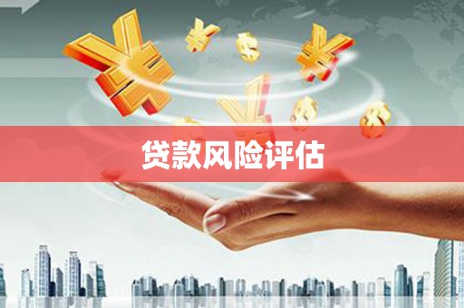 叶县贷款风险评估