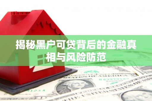 叶县揭秘黑户可贷背后的金融真相与风险防范