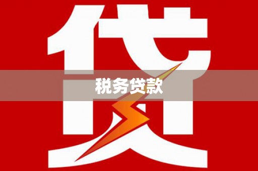 叶县税务贷款