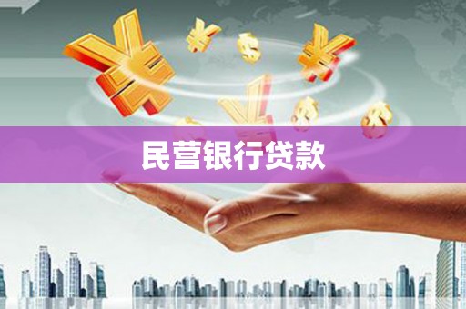 叶县民营银行贷款