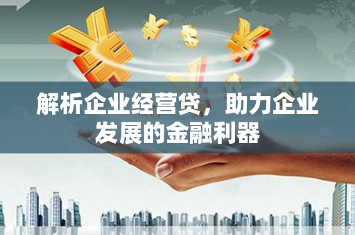 叶县解析企业经营贷，助力企业发展的金融利器