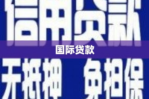 叶县国际贷款