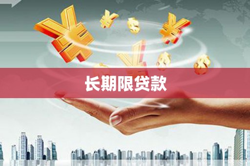叶县长期限贷款