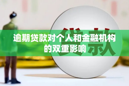 叶县逾期贷款对个人和金融机构的双重影响