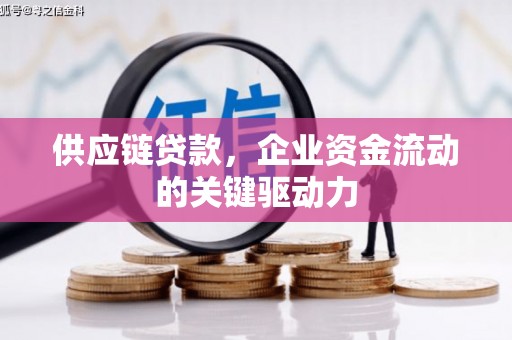 叶县供应链贷款，企业资金流动的关键驱动力