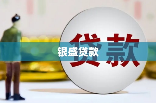 叶县银盛贷款