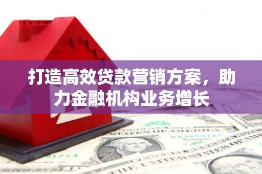 叶县打造高效贷款营销方案，助力金融机构业务增长