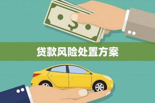 叶县贷款风险处置方案