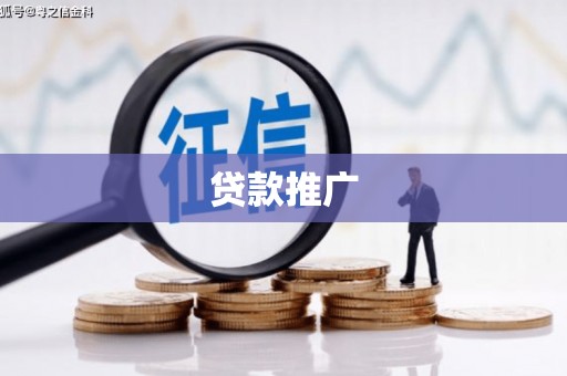 叶县贷款推广