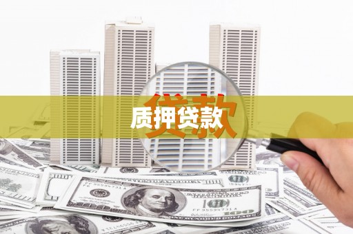 叶县质押贷款