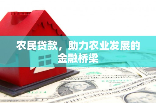 叶县农民贷款，助力农业发展的金融桥梁