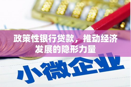 叶县政策性银行贷款，推动经济发展的隐形力量