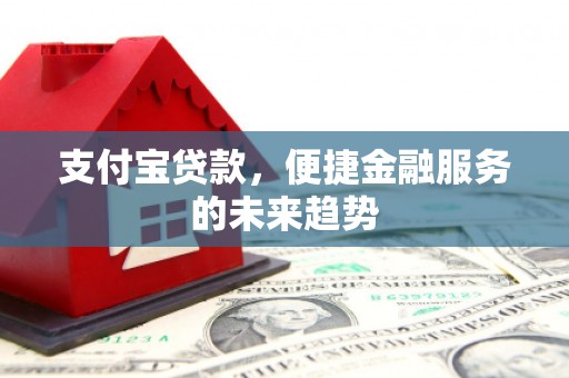 叶县支付宝贷款，便捷金融服务的未来趋势