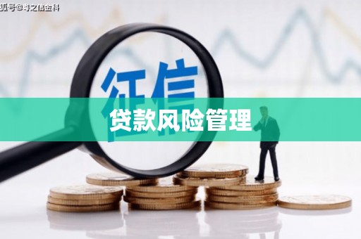 叶县贷款风险管理