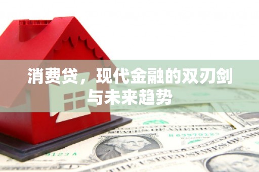 叶县消费贷，现代金融的双刃剑与未来趋势