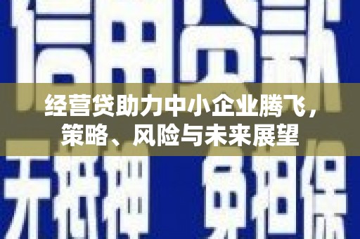 叶县经营贷助力中小企业腾飞，策略、风险与未来展望