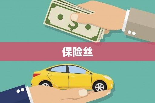 叶县保险丝