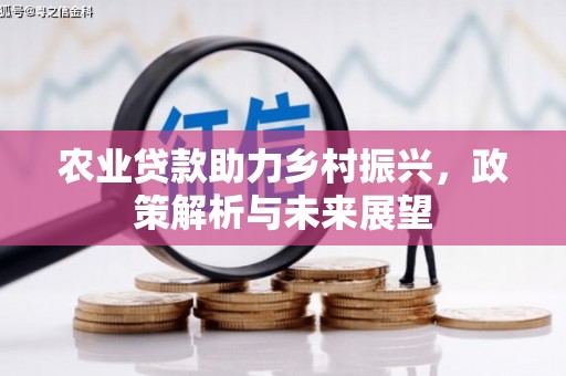 叶县农业贷款助力乡村振兴，政策解析与未来展望