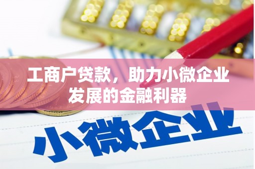 叶县工商户贷款，助力小微企业发展的金融利器