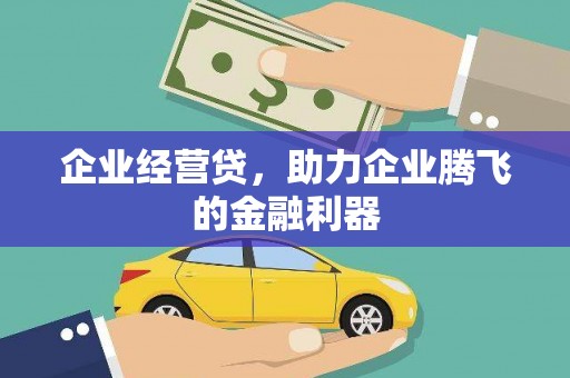 叶县企业经营贷，助力企业腾飞的金融利器