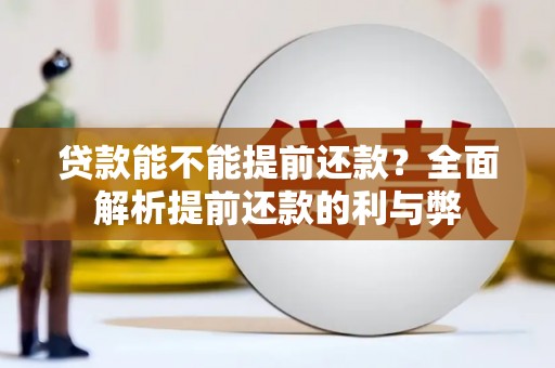 叶县贷款能不能提前还款？全面解析提前还款的利与弊
