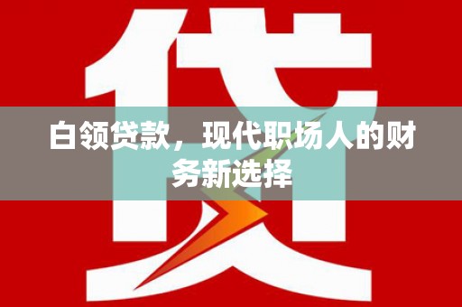 叶县白领贷款，现代职场人的财务新选择