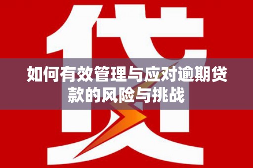 叶县如何有效管理与应对逾期贷款的风险与挑战