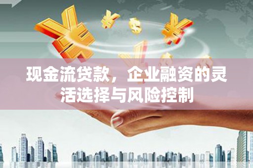 叶县现金流贷款，企业融资的灵活选择与风险控制