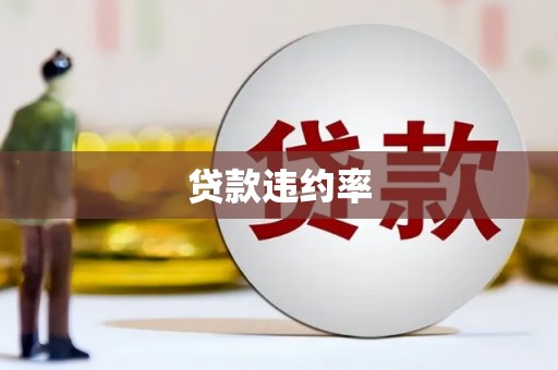 叶县贷款违约率