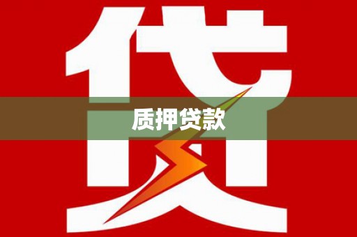 叶县质押贷款