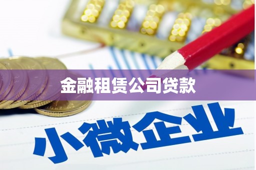 叶县金融租赁公司贷款