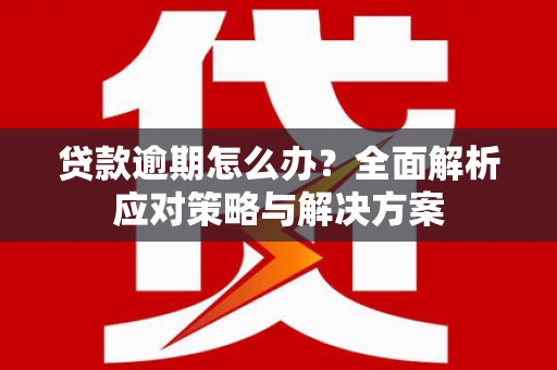 叶县贷款逾期怎么办？全面解析应对策略与解决方案