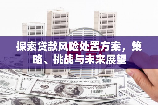 叶县探索贷款风险处置方案，策略、挑战与未来展望