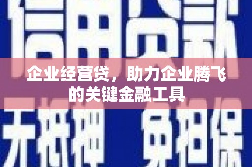 叶县企业经营贷，助力企业腾飞的关键金融工具