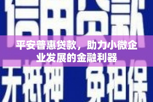 叶县平安普惠贷款，助力小微企业发展的金融利器