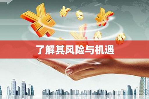 叶县了解其风险与机遇