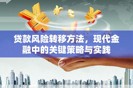 叶县贷款风险转移方法，现代金融中的关键策略与实践
