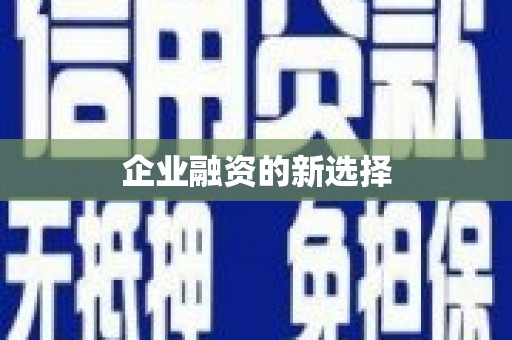 叶县企业融资的新选择