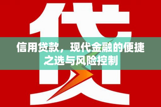 叶县信用贷款，现代金融的便捷之选与风险控制