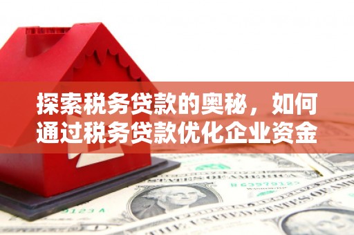 叶县探索税务贷款的奥秘，如何通过税务贷款优化企业资金流